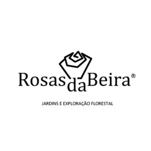 rosas-da-beira